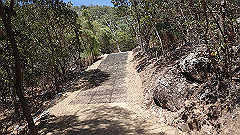 pa300534_thumb.jpg