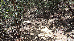 pa300535_thumb.jpg