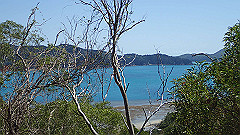 pa300538_thumb.jpg