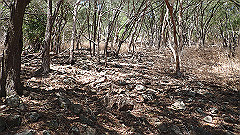 pa300540_thumb.jpg