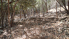 pa300541_thumb.jpg