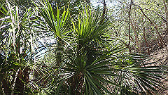 pa300542_thumb.jpg