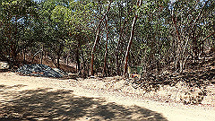pa300550_thumb.jpg