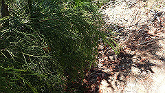 pa300557_thumb.jpg