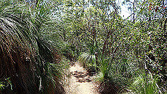 pa300559_thumb.jpg