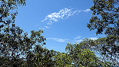 pa300560_thumb.jpg