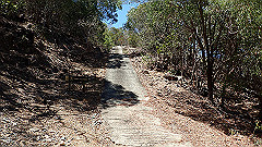 pa300564_thumb.jpg
