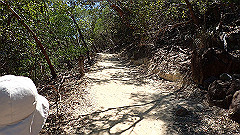 pa300565_thumb.jpg