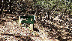 pa300566_thumb.jpg