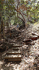 pa300569_thumb.jpg
