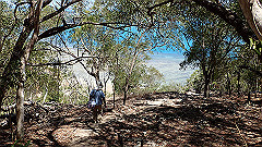 pa300573_thumb.jpg