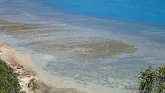 pa300586_thumb.jpg