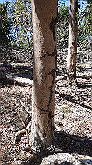 pa300590_thumb.jpg