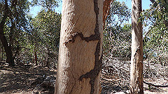 pa300591_thumb.jpg