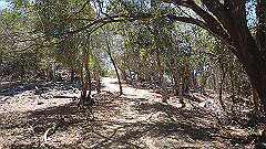 pa300593_thumb.jpg