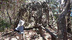 pa300601_thumb.jpg