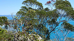 pa300608_thumb.jpg