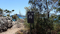 pa300616_thumb.jpg