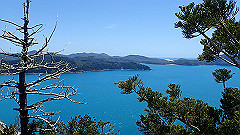 pa300620_thumb.jpg