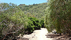 pa300654_thumb.jpg