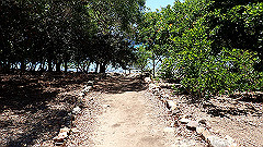 pa300655_thumb.jpg