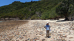 pa300660_thumb.jpg