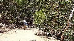 pa300665_thumb.jpg