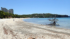 pa300678_thumb.jpg