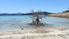 pa300679_thumb.jpg