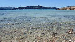 pa300682_thumb.jpg