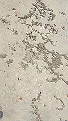 pa300684_thumb.jpg