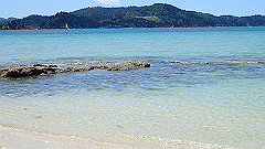 pa300688_thumb.jpg