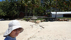 pa300691_thumb.jpg