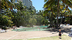 pa300692_thumb.jpg