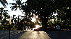 pa300694_thumb.jpg