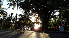 pa300695_thumb.jpg
