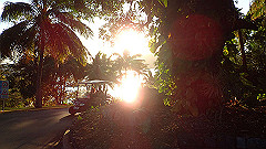 pa300697_thumb.jpg