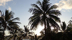 pa300702_thumb.jpg