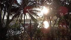 pa300721_thumb.jpg