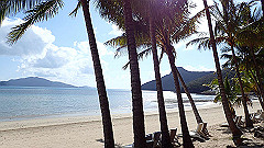 pa310803_thumb.jpg