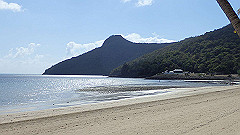 pa310804_thumb.jpg