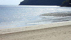 pa310805_thumb.jpg