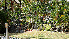 pa310810_thumb.jpg