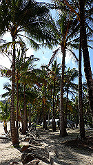 pa310811_thumb.jpg