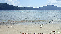 pa310815_thumb.jpg