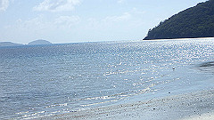 pa310817_thumb.jpg
