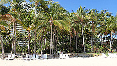 pa310820_thumb.jpg