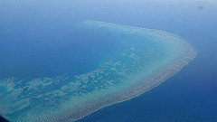 pa310862_thumb.jpg