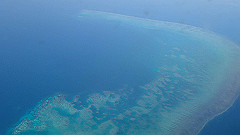 pa310863_thumb.jpg