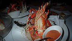 pa310898_thumb.jpg